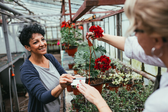 woman buying flowers in flowers nursery