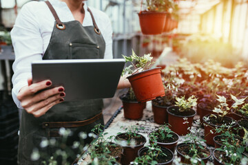 close up of woman holding plant and tablet in greenhouse