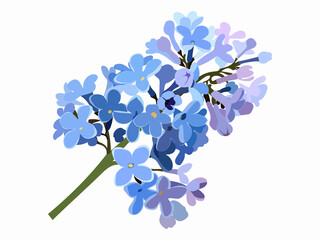 Fototapeta na wymiar Periwinkle Blue Lilac Branch Isolated Flower Vector Illustration on white background