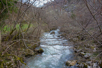 Rio y piedras entre las verdes montañas