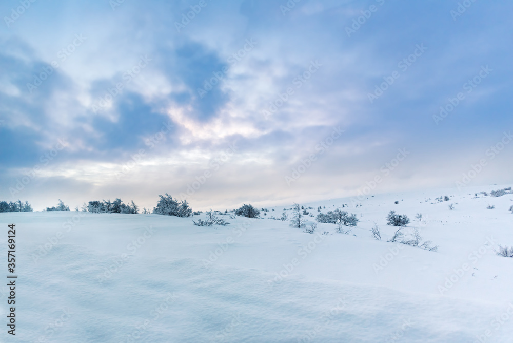Wall mural snow covered winter arctic tundra landscape of unspoiled nature with scattered trees with plenty of 