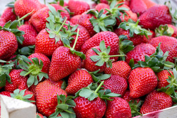 Background from freshly harvested strawberries, directly above