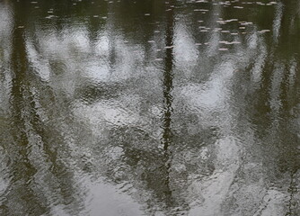 The trace of lotus petals on the reflection of the water surface in Sapporo Japan