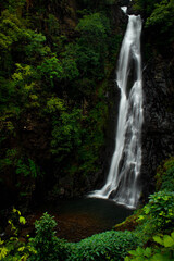 Waterfall in the forest