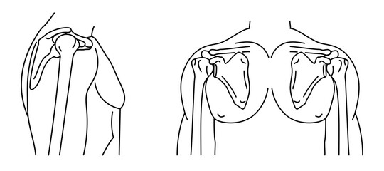Shoulder joint and human body front and side view outline icons