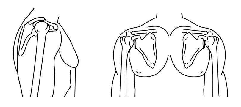 Shoulder joint and human body front and side view outline icons