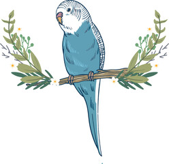 blue parrot illustration colorful