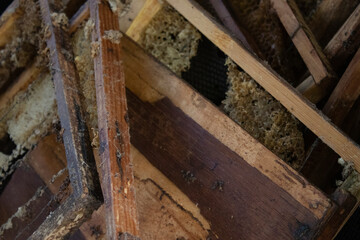used honeycombs. houses of bees - hive. beekeeping. beekeeper. apiculture concept. High quality photo