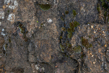 Fototapeta premium the background and rough dark stone texture closeup
