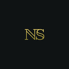 Creative modern elegant trendy unique artistic NS SN N S initial based letter icon logo.