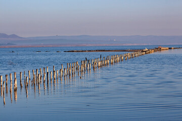 The landscape of a salt lake in a seaside resort, with wooden pegs in the water with cormorants. The habitat of many birds can also be seen on the horizon. Pomorie resort, Bulgaria.