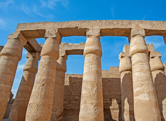 Hieroglyphic carvings on ancient egyptian temple columns