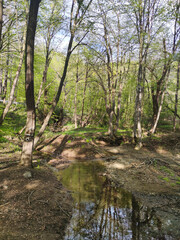 Fototapeta premium Spring landscape of Vitosha Mountain, Bulgaria