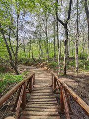 Spring landscape of Vitosha Mountain, Bulgaria