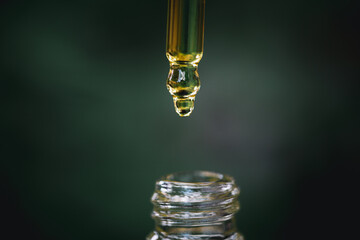 close up of droplet dosing a biological and ecological hemp plant herbal pharmaceutical cbd oil...