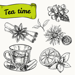 set of elements for tea or breakfast. tea, tea spices, lemon. hand drawn vector illustration