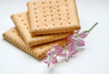 Galette cookies, on a white background, close-up. This is a dry savory cookie with a light puff...