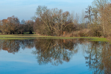 Fototapeta na wymiar reflections on the flooded countryside