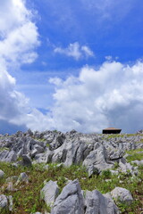 初夏を迎えた天狗高原（四国カルスト）