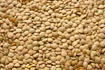 Lentils background. Focus all over the frame.