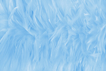 light blue bird feathers pattern texture background.