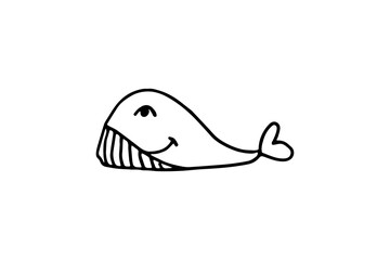 hand drawn vector illustration. Doodle whale with thin stroke isolated on white background. Sea life, ocean animals