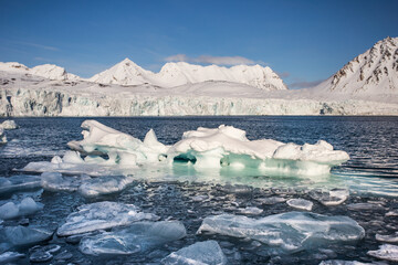 Lodowcowy krajobraz Arktyki © blackspeed