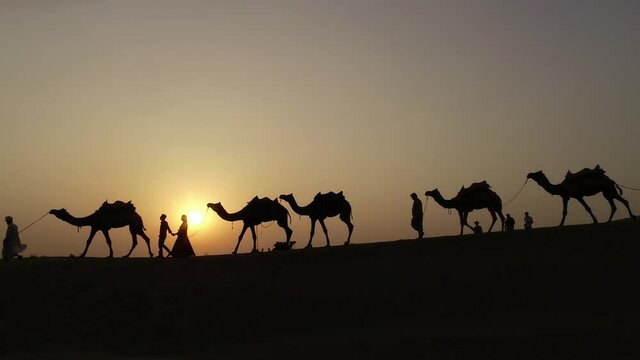 camel caravan travel in rajasthan desert people picnic and walking with camel kutch white desert indian touisum