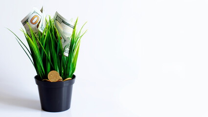 Investment or saving concept on white background