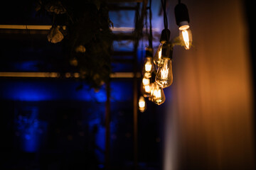 Decorative lighting. Edison Lamps