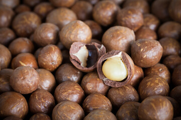 Organic Macadamia Bean Background
