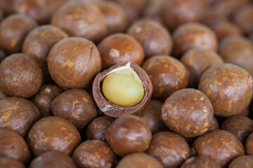 Organic Macadamia Bean Background