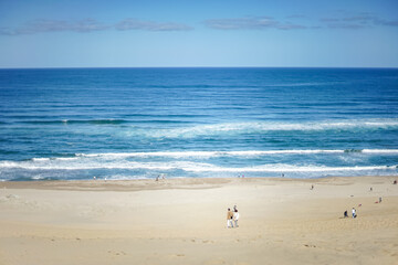 鳥取県観光地_鳥取砂丘