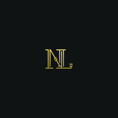 Creative modern elegant trendy unique artistic NL LN N L initial based letter icon logo.