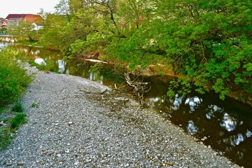 river with lush green crowns of trees on the shore