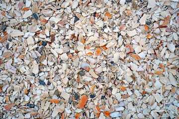 Crushed oyster and clam shell parking lot.       