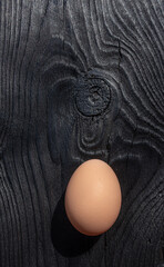 Brown egg on dark wooden background. Copy space.