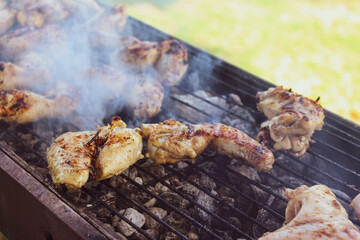 Grilled chicken legs on the picnic