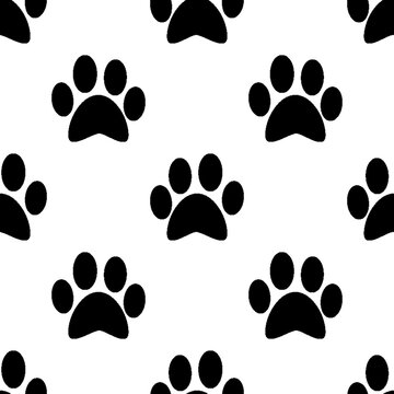 seamless pattern with dog  paw, background