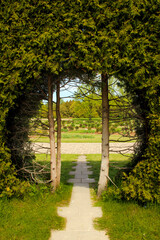 The green hedge. Natural fence with a round entrance in the middle.