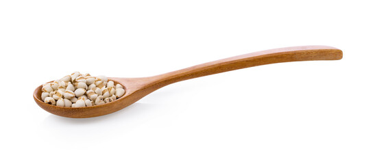 Pile of Job's tears ( Adlay millet) in wood spoon on white background.