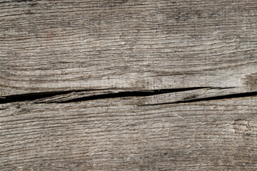 Old wood texture background. Wooden texture. Nature material background