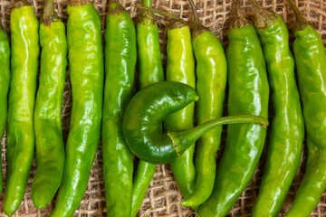 View of green chilies in a row