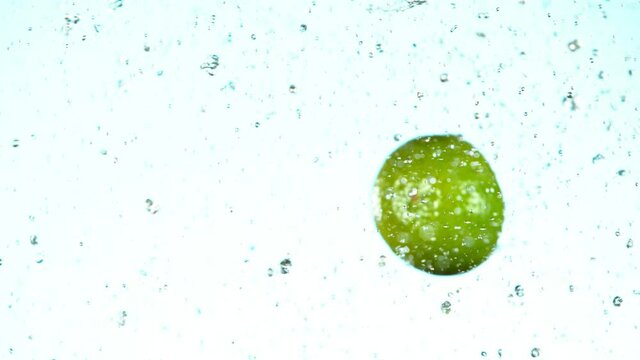 Super slow motion of lime pieces collision with water splashes, white background. Filmed on high speed cinema camera, 1000 fps.