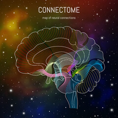 Neuroscience infographic on space background. Brain cells connectome concept.Neural network, neurons forming a complex map for mind and thinking