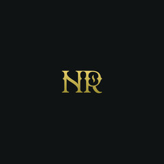 Creative Minimal  Geometric style NR RN N R letter icon logo