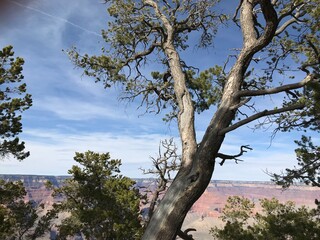 Landschaft Grand Canyon