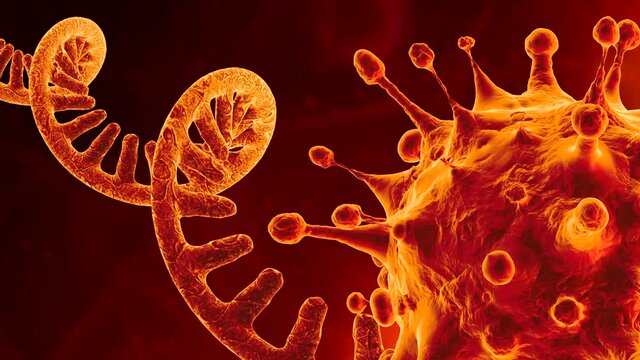 Single-stranded RNA Deltacron Coronavirus. Microscopic view of a infectious Sars-CoV-2 virus cell. 3D animation