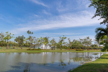 lake and trees in public park with bright day.