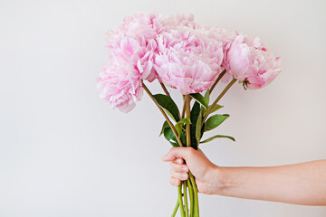 Cropped shot of female hand holding a bright bouquet of pink peonies w/ lush buds. Woman with spring flowers. White backgound, copy space for text. Top view, close up, minimalistic composition.